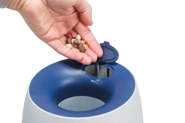 TRIXIE Strategiespiel "Ball&Treat"